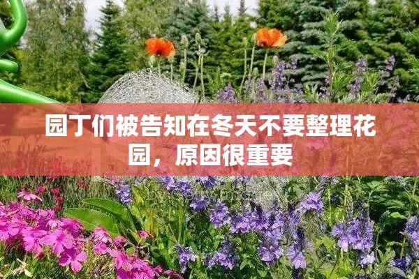 园丁们被告知在冬天不要整理花园，原因很重要